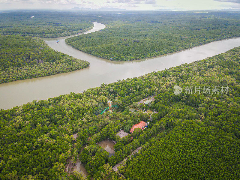 在越南Can Gio的Vam Sat的红树林鸟瞰图。美丽的大自然与唐邦森林瞭望塔。